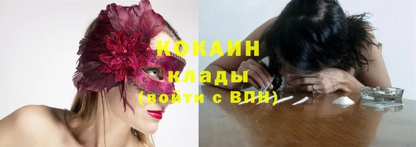 дмт Кулебаки