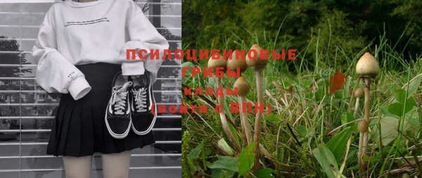 дмт Кулебаки